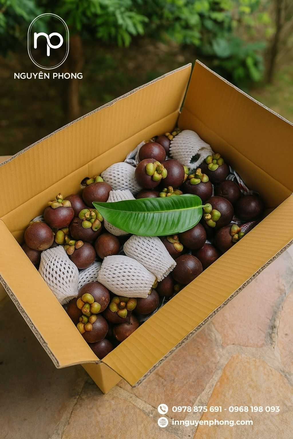 Mẫu thùng carton đựng măng cụt chắc chắn